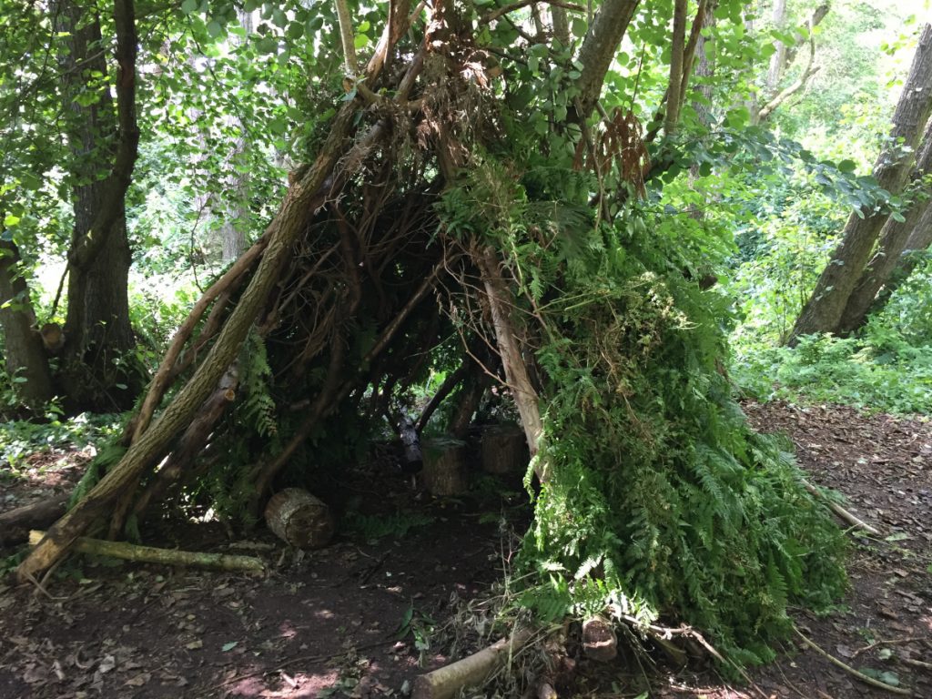Natural shelter constructed from sticks and leaves